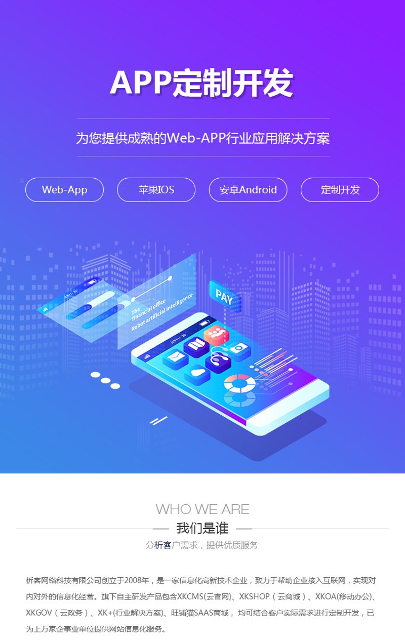 上海软件定制开发：企业创新发展的加速器